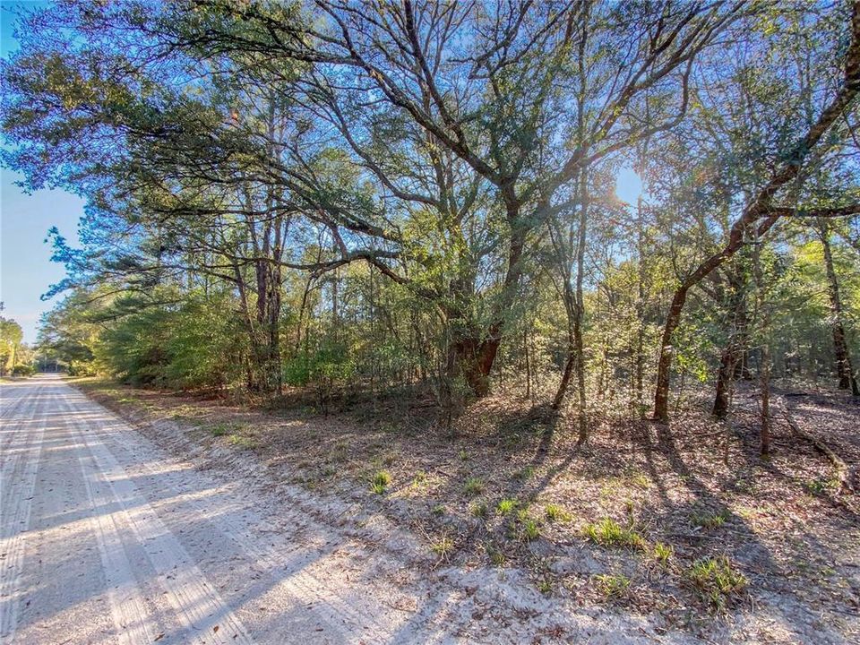 For Sale: $235,000 (7.00 acres)