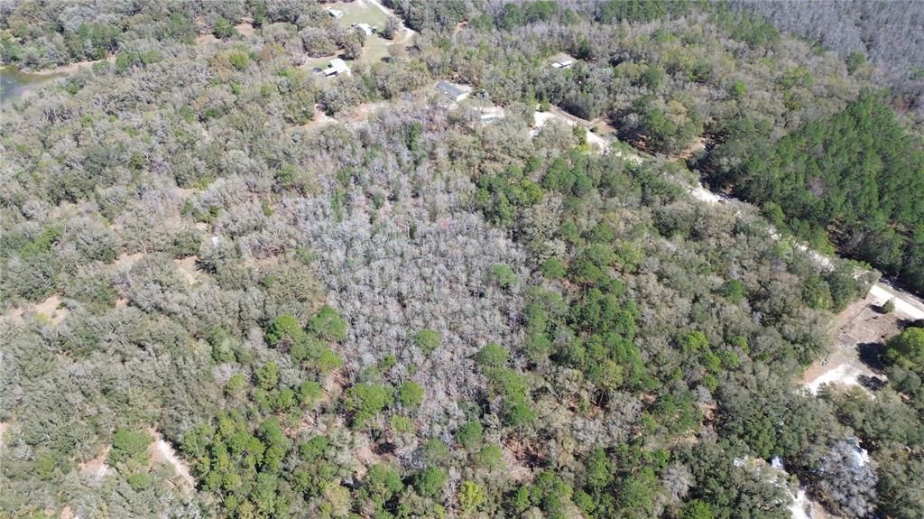 For Sale: $235,000 (7.00 acres)