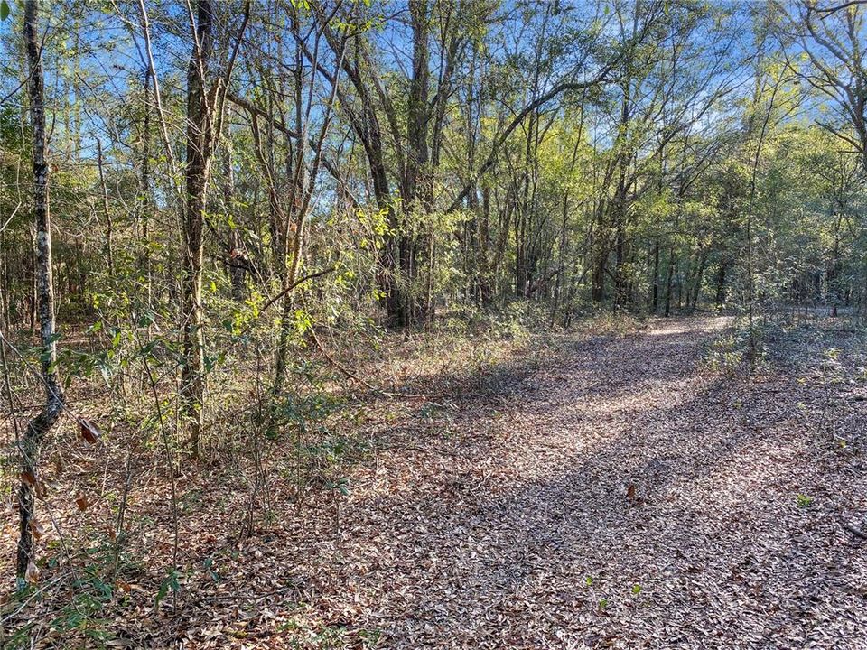 For Sale: $235,000 (7.00 acres)