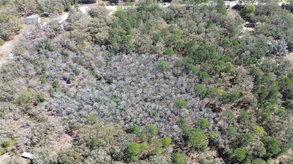 For Sale: $235,000 (7.00 acres)