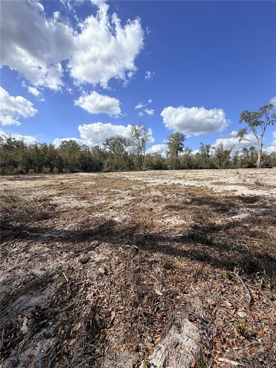 На продажу: $65,000 (3.15 acres)