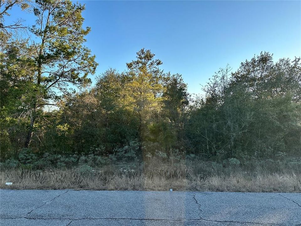 For Sale: $12,900 (0.26 acres)