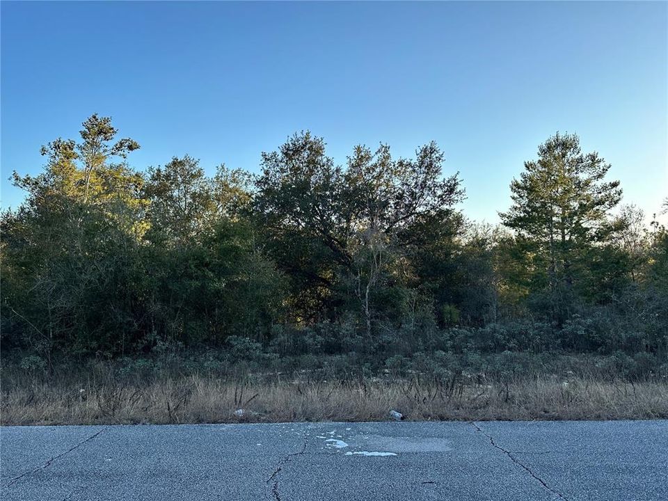 For Sale: $12,900 (0.26 acres)