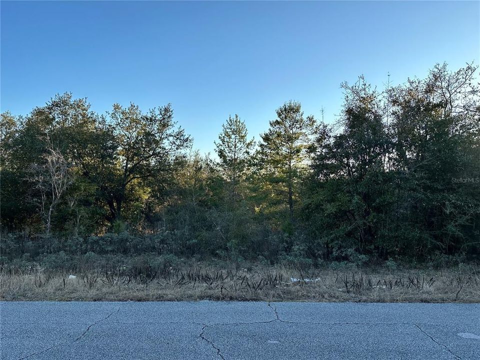 For Sale: $12,900 (0.26 acres)