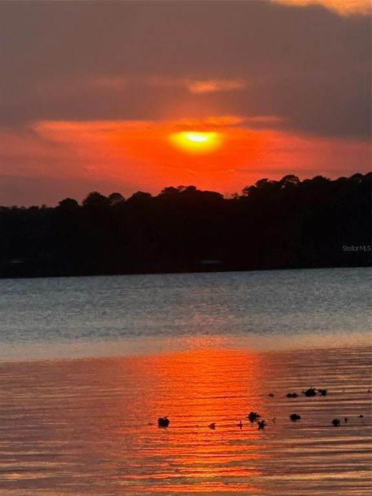 На продажу: $1,100,000 (3 спален, 3 ванн, 3031 Квадратных фут)