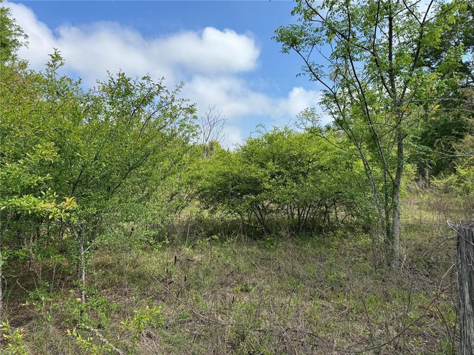 На продажу: $474,900 (9.00 acres)