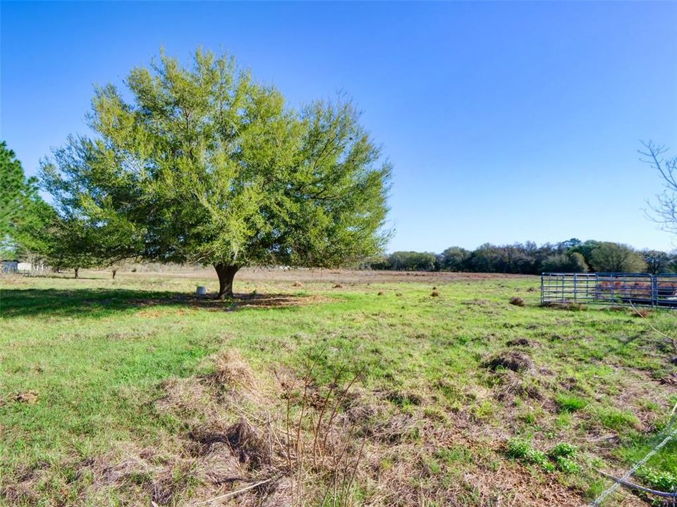 For Sale: $350,000 (10.00 acres)