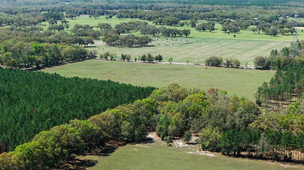 For Sale: $309,000 (17.62 acres)