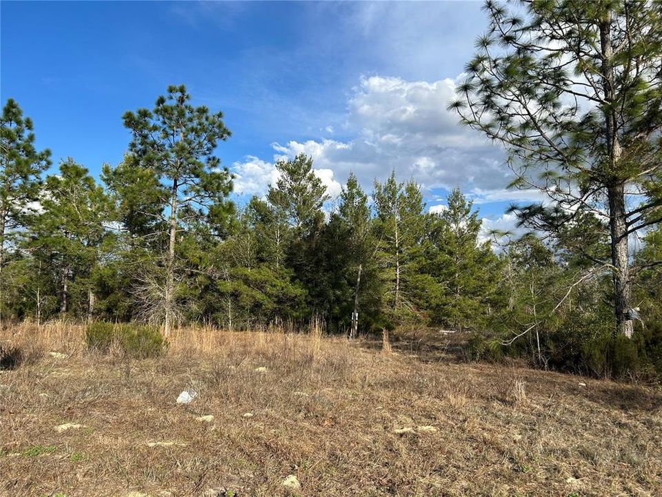 For Sale: $59,900 (2.00 acres)