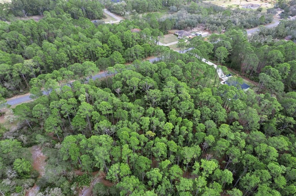 На продажу: $85,000 (1.23 acres)