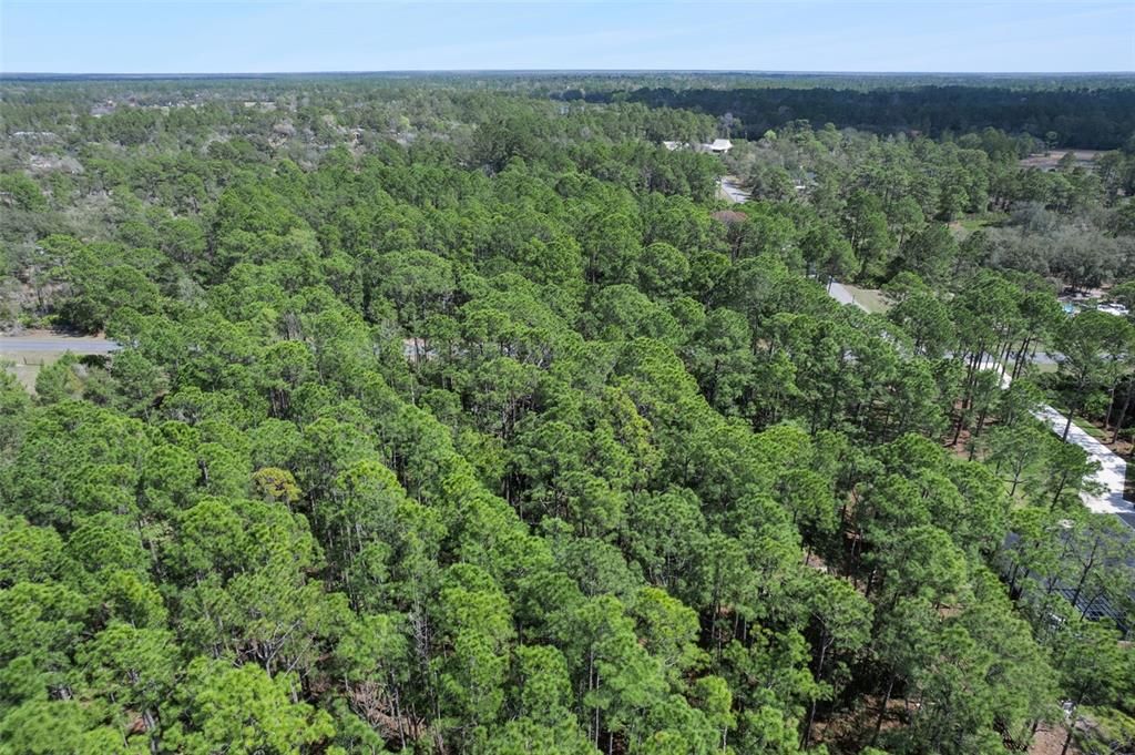 На продажу: $85,000 (1.23 acres)