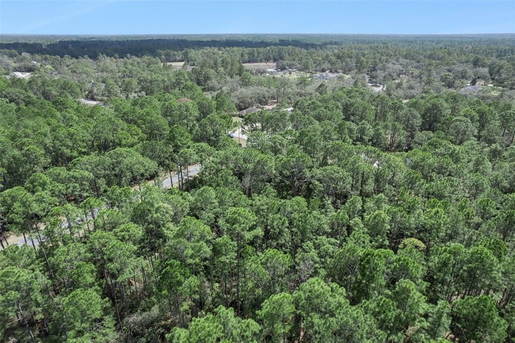 На продажу: $85,000 (1.23 acres)