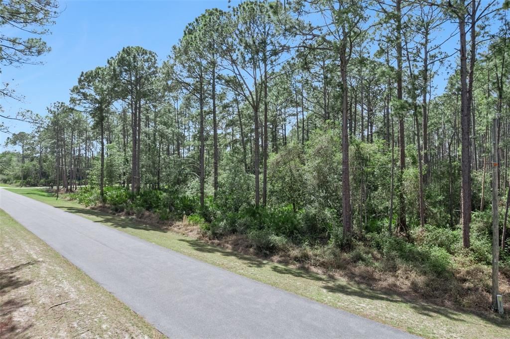 На продажу: $85,000 (1.23 acres)