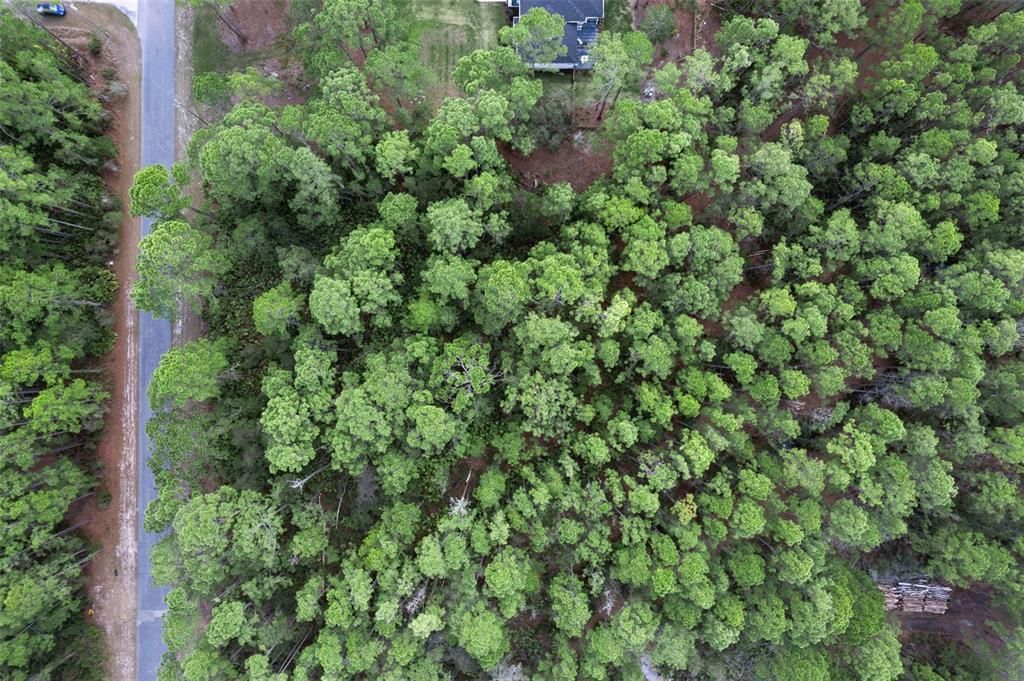 На продажу: $85,000 (1.23 acres)