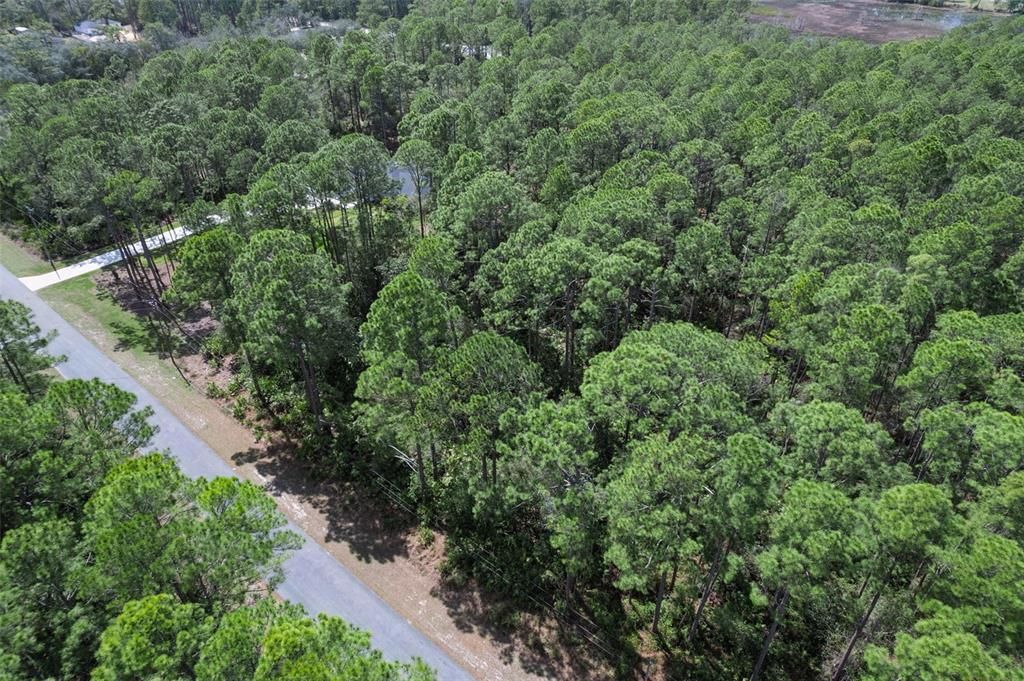 На продажу: $85,000 (1.23 acres)