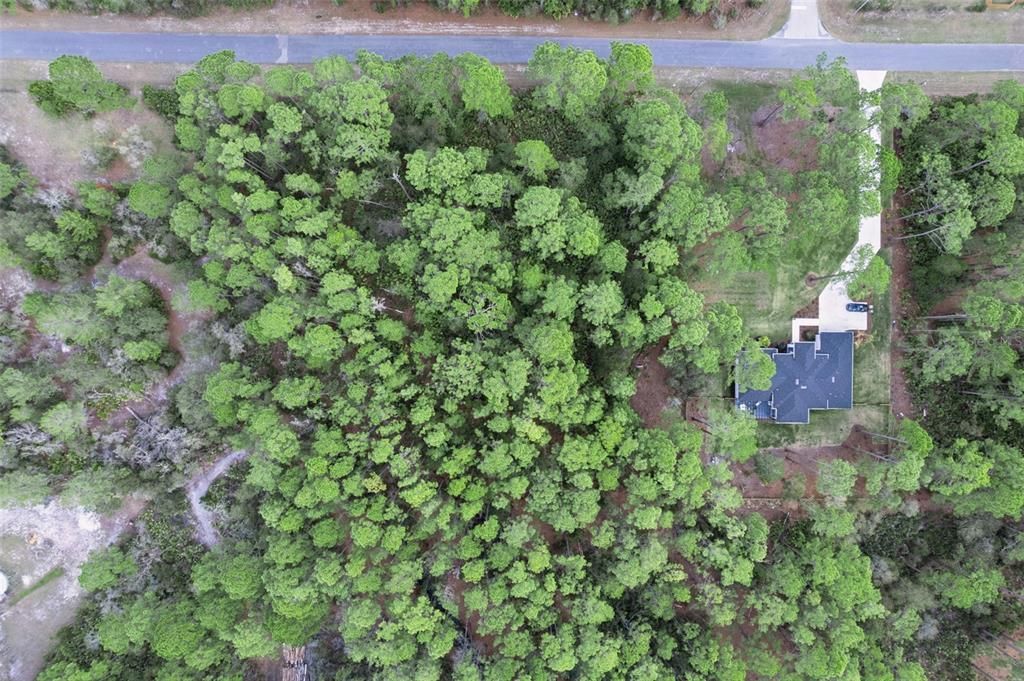 На продажу: $85,000 (1.23 acres)