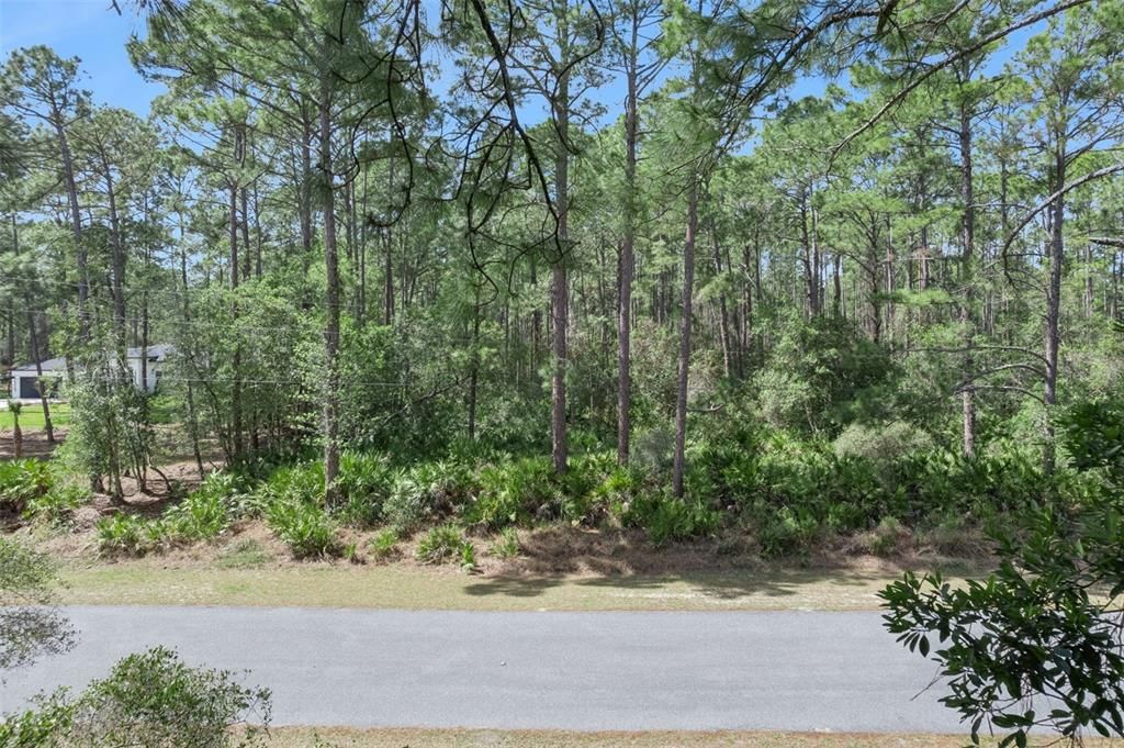 На продажу: $85,000 (1.23 acres)