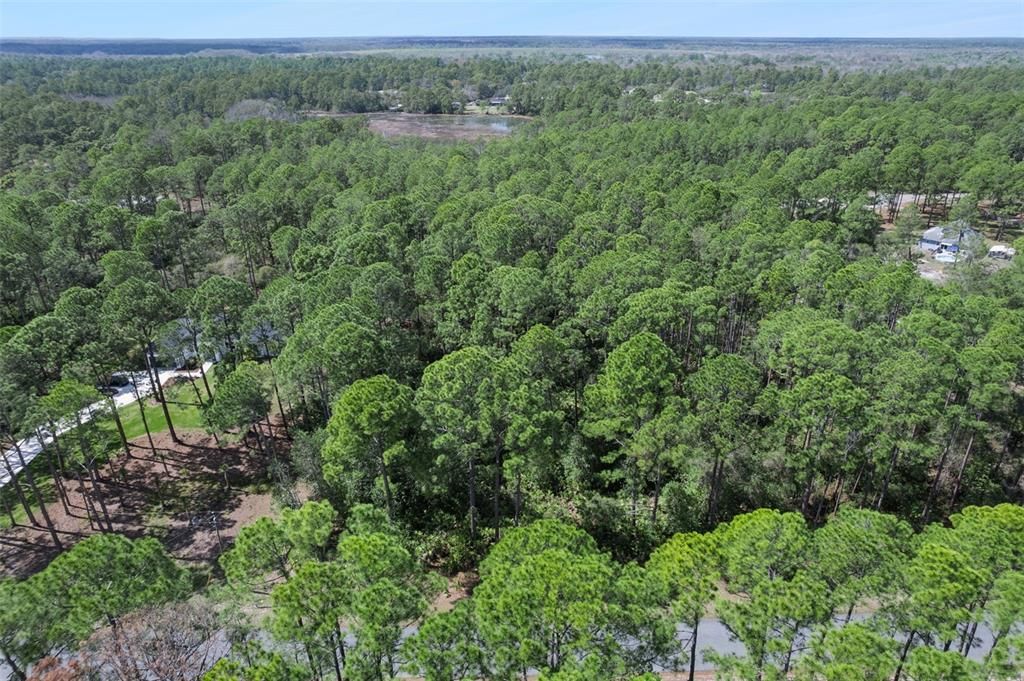 На продажу: $85,000 (1.23 acres)