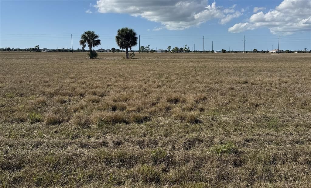 Active With Contract: $14,900 (0.18 acres)