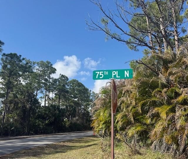 На продажу: $315,000 (1.14 acres)