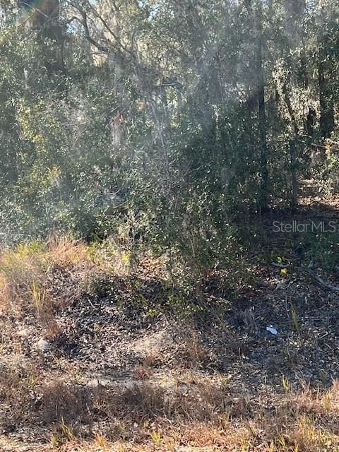 For Sale: $34,000 (0.23 acres)