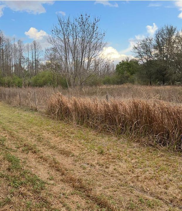 For Sale: $334,000 (5.59 acres)