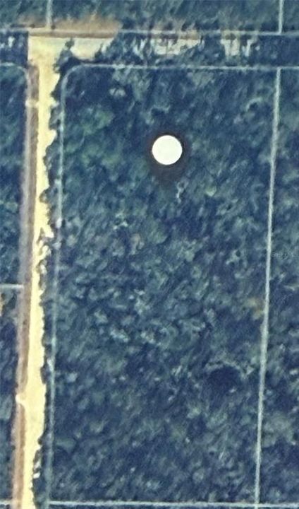 На продажу: $100,000 (4.50 acres)