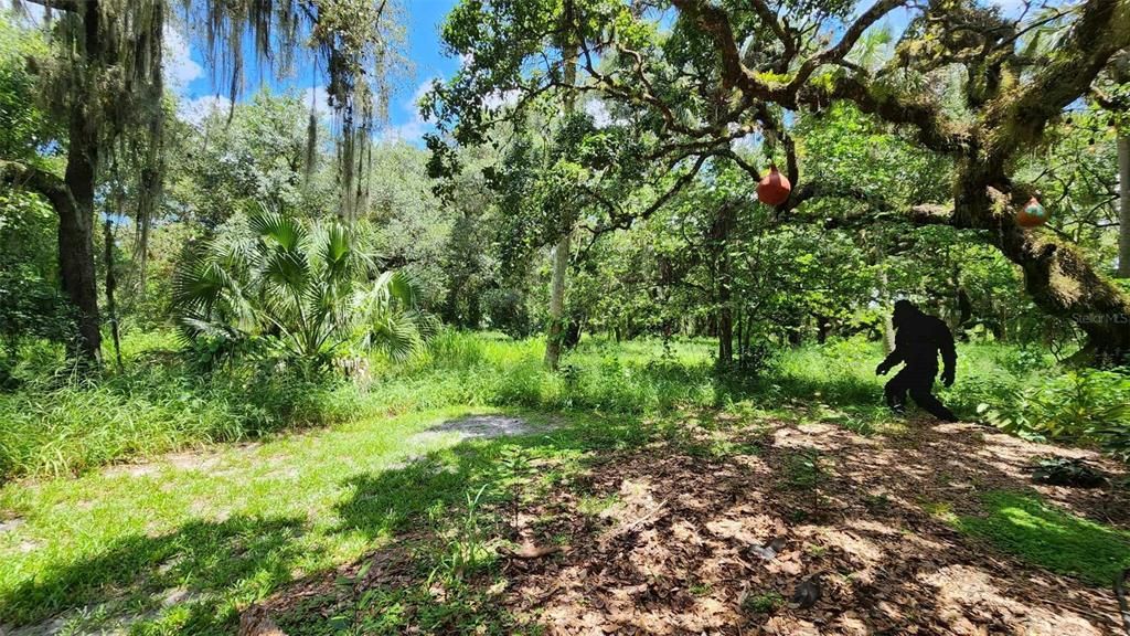 На продажу: $179,000 (0.08 acres)