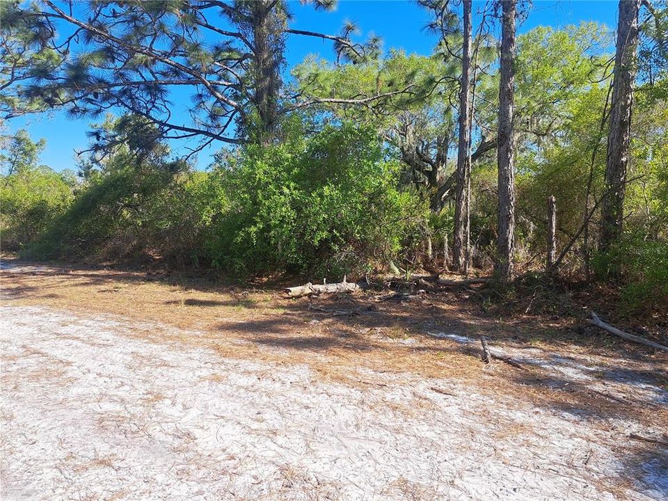 На продажу: $93,000 (0.50 acres)