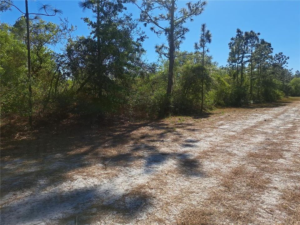На продажу: $19,000 (0.50 acres)