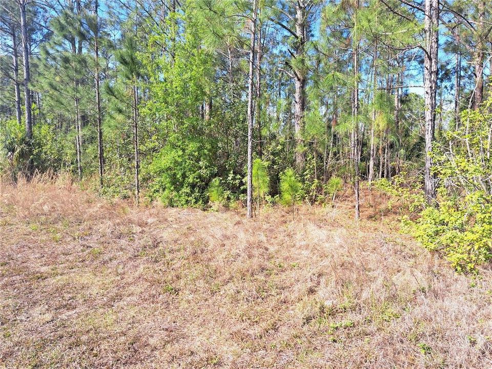 На продажу: $19,000 (0.50 acres)