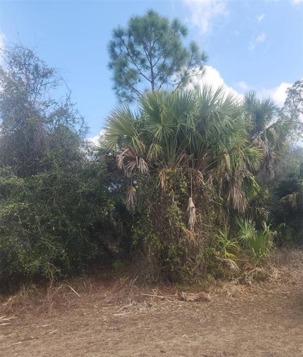 На продажу: $50,000 (0.50 acres)