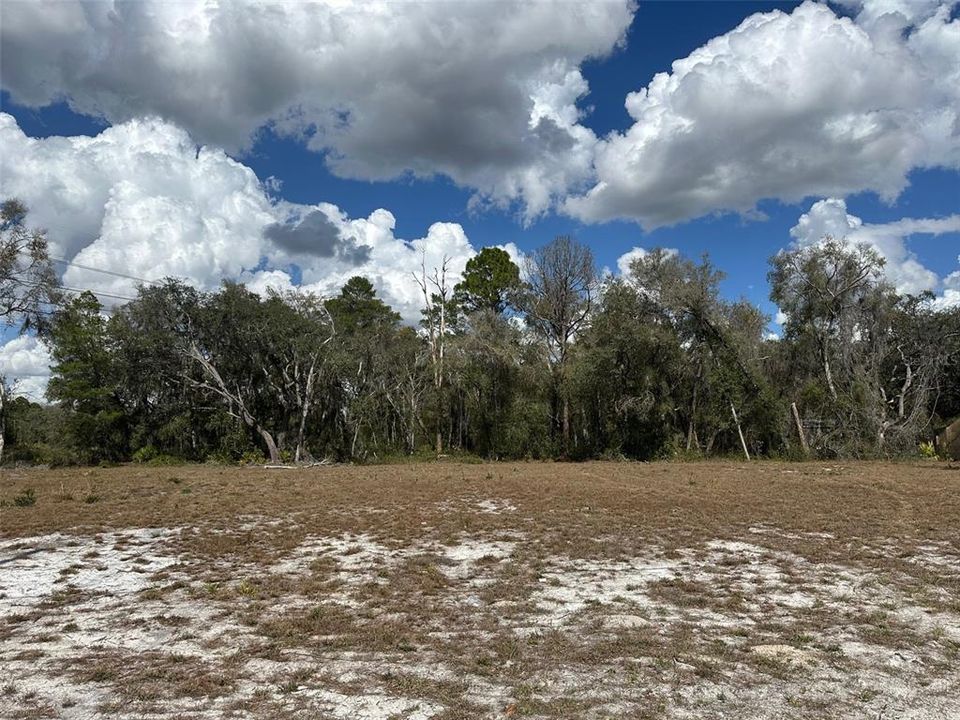 На продажу: $30,000 (0.59 acres)