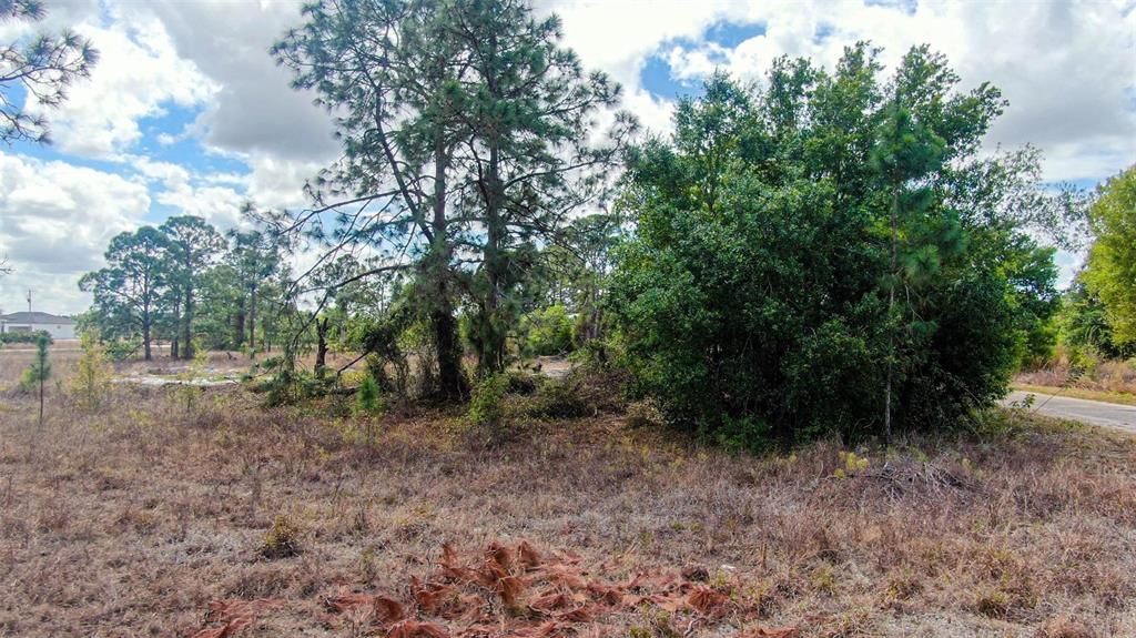 На продажу: $20,000 (0.23 acres)