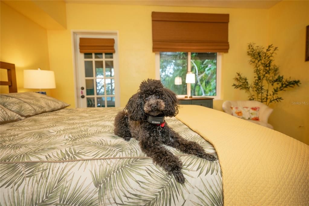 For Sale: $1,325,000 (3 beds, 2 baths, 1540 Square Feet)