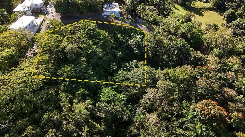 For Sale: $180,000 (0.48 acres)