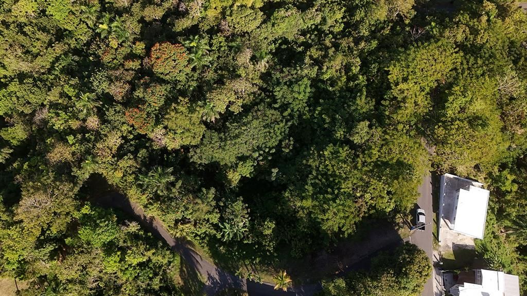 For Sale: $180,000 (0.48 acres)