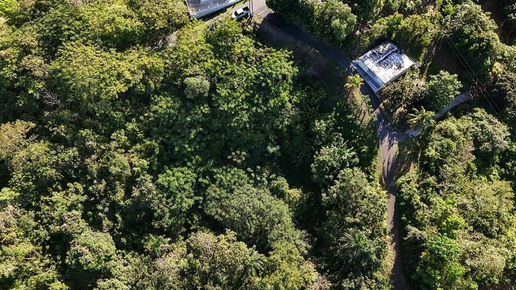 For Sale: $180,000 (0.48 acres)