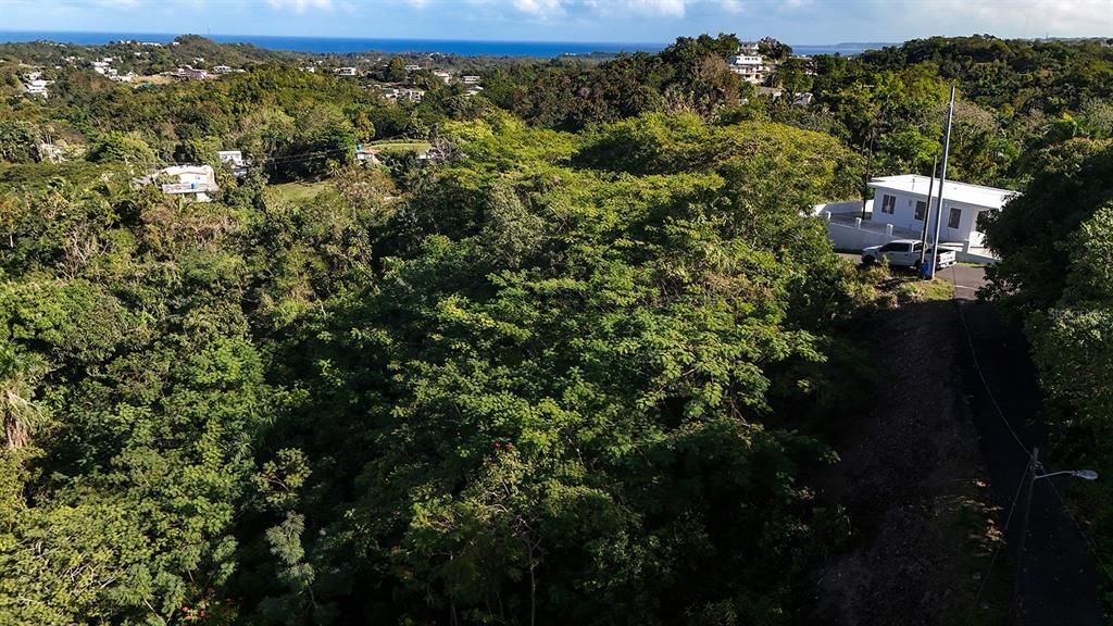 For Sale: $180,000 (0.48 acres)