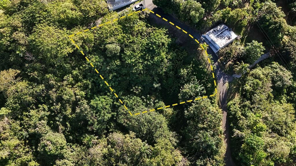 For Sale: $180,000 (0.48 acres)