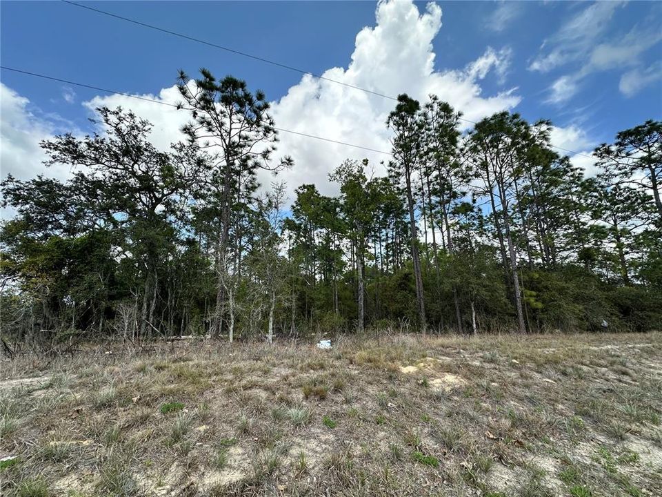 En Venta: $24,500 (0.44 acres)