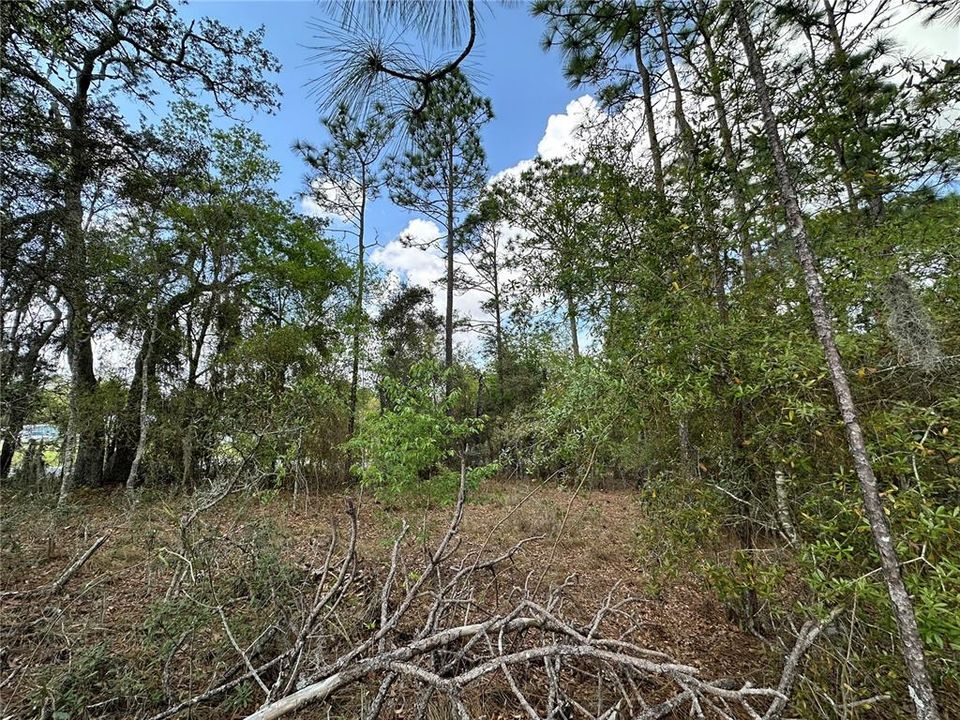 En Venta: $24,500 (0.44 acres)