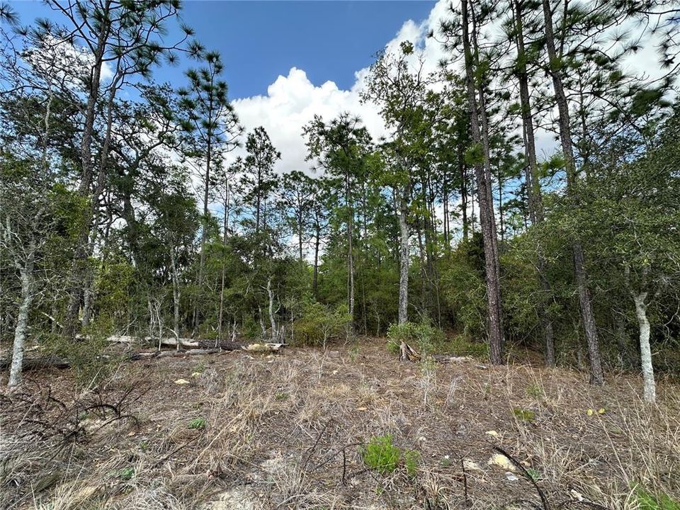 En Venta: $24,500 (0.44 acres)
