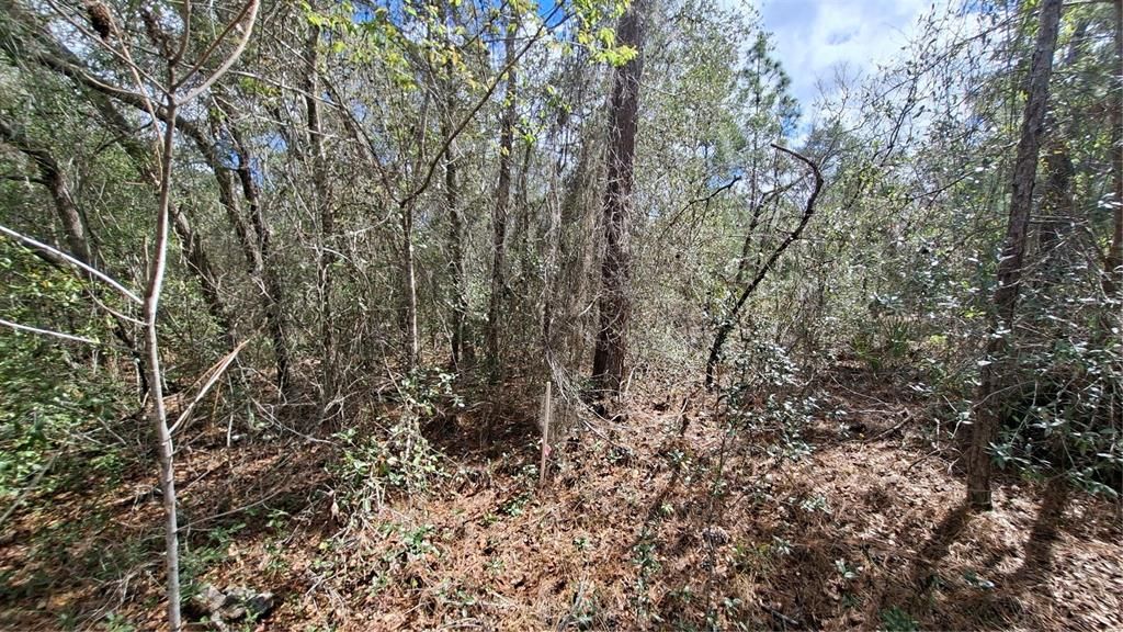 En Venta: $40,000 (0.28 acres)