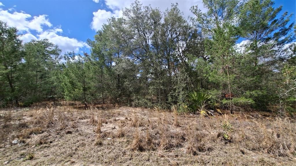 En Venta: $40,000 (0.28 acres)