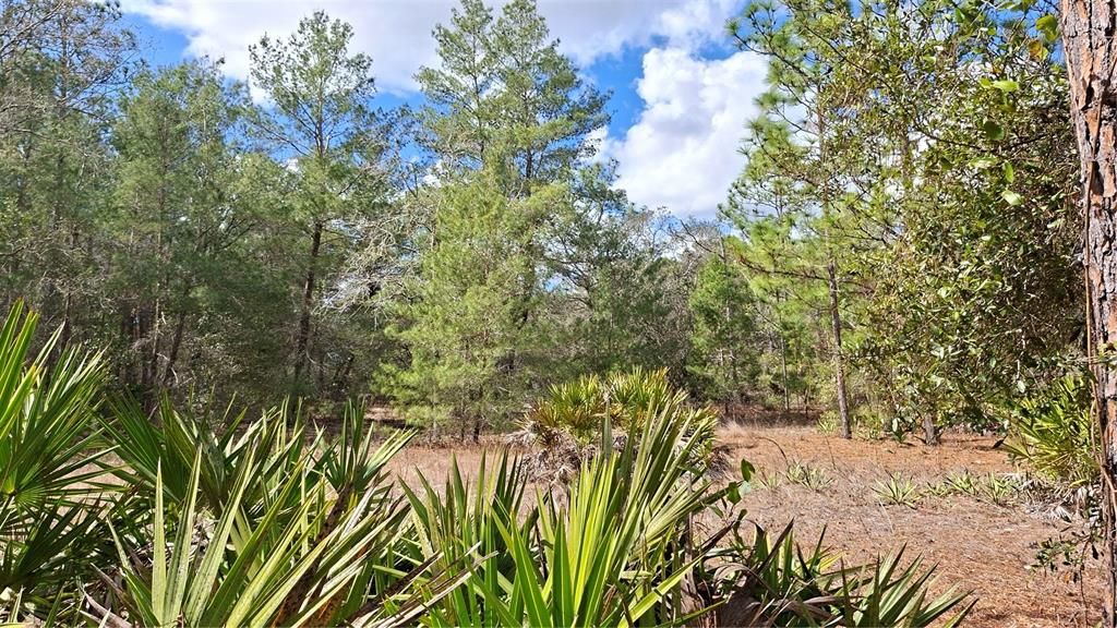 En Venta: $40,000 (0.28 acres)