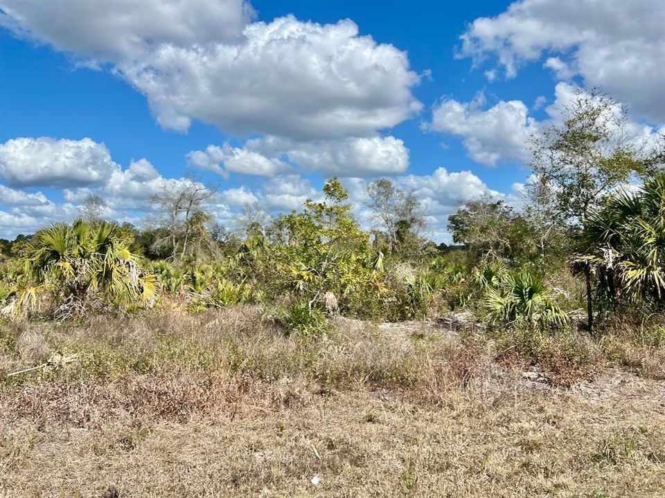 待售: $625,000 (50.00 acres)