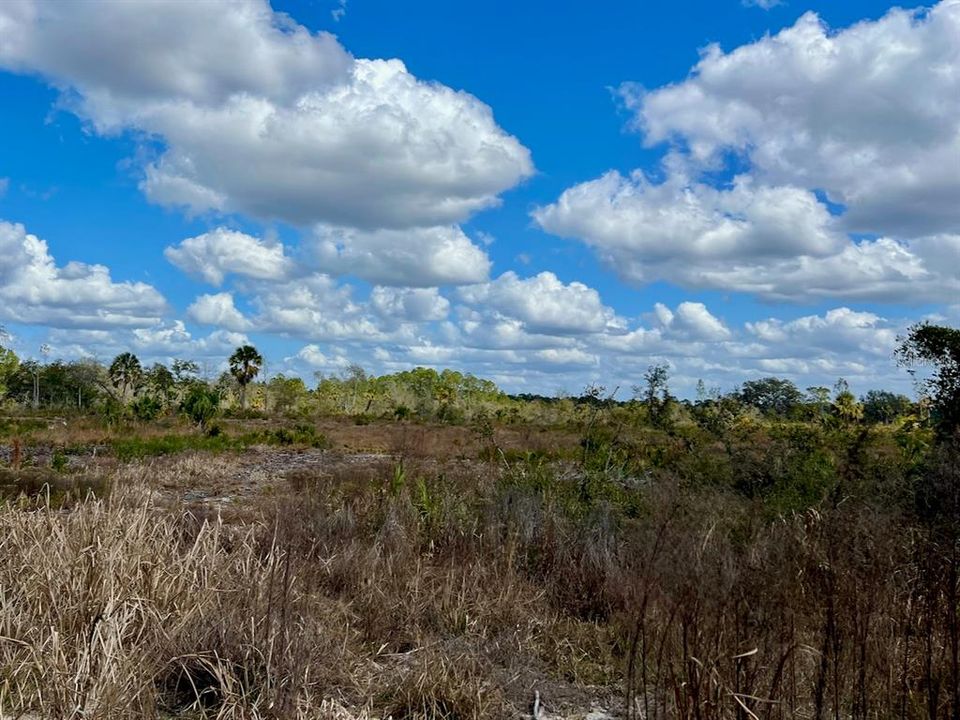 待售: $625,000 (50.00 acres)