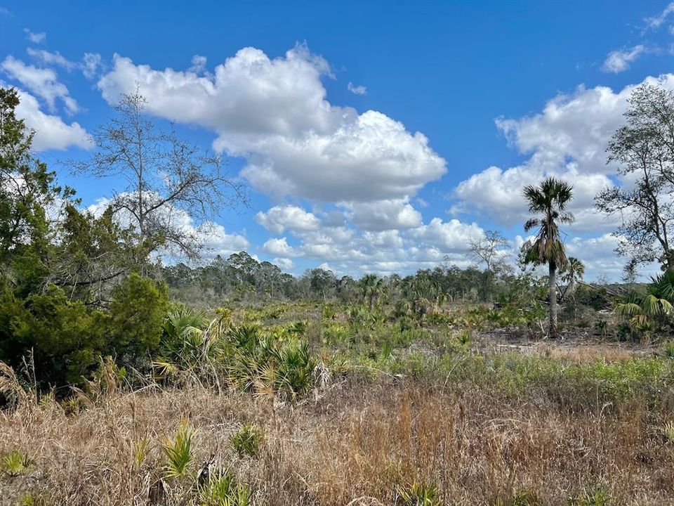 待售: $625,000 (50.00 acres)