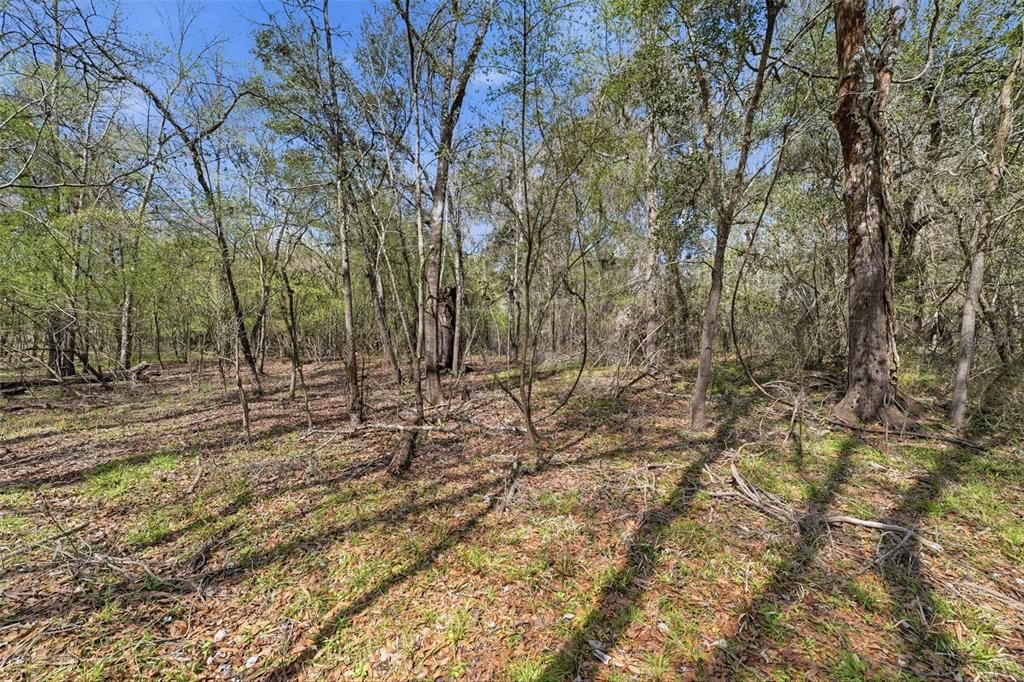 En Venta: $19,000 (0.70 acres)